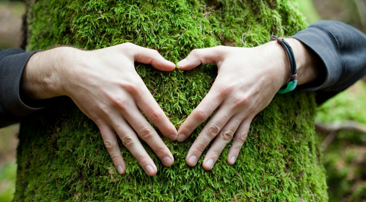 Greener Tomorrow – Peritos Foundation’s Environmental Initiatives